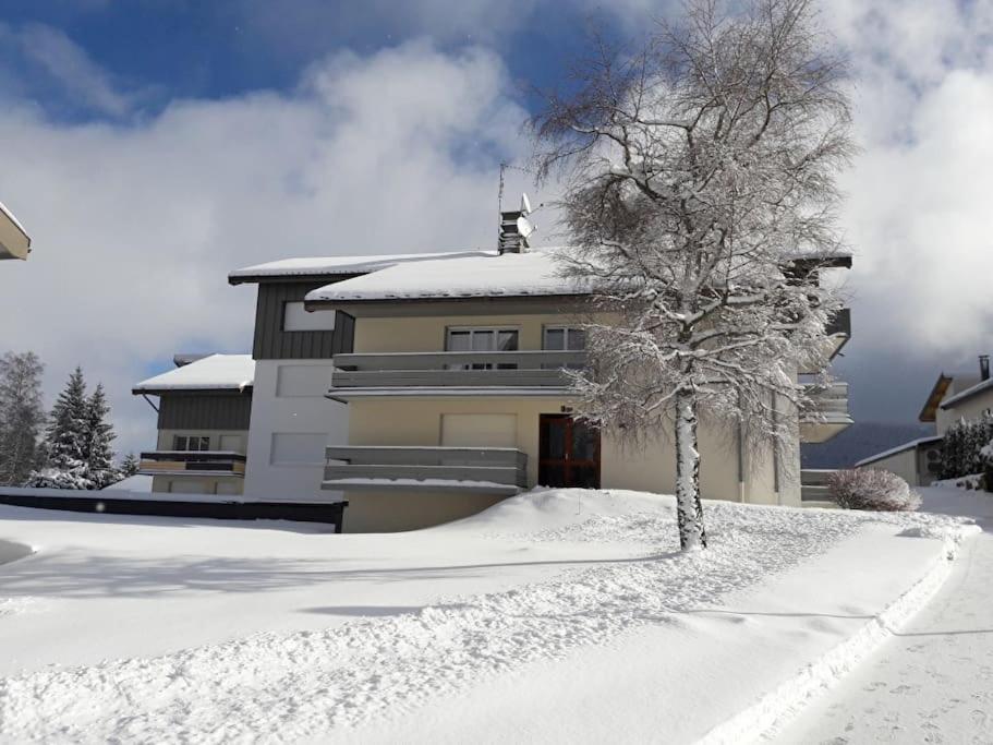 Le Chalain Cosy Proche Centre Ville レ・ルス エクステリア 写真